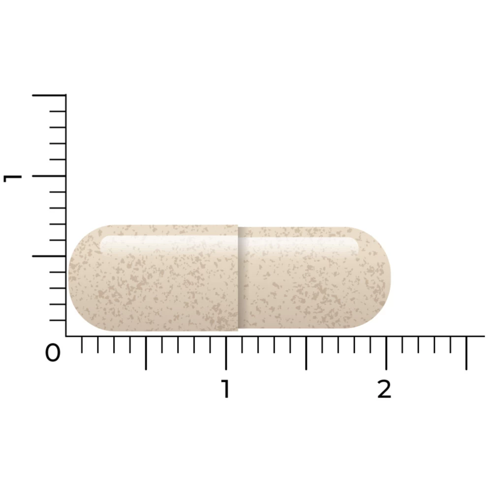 Vitakruid Ashwagandha Ksm - Afbeelding 5
