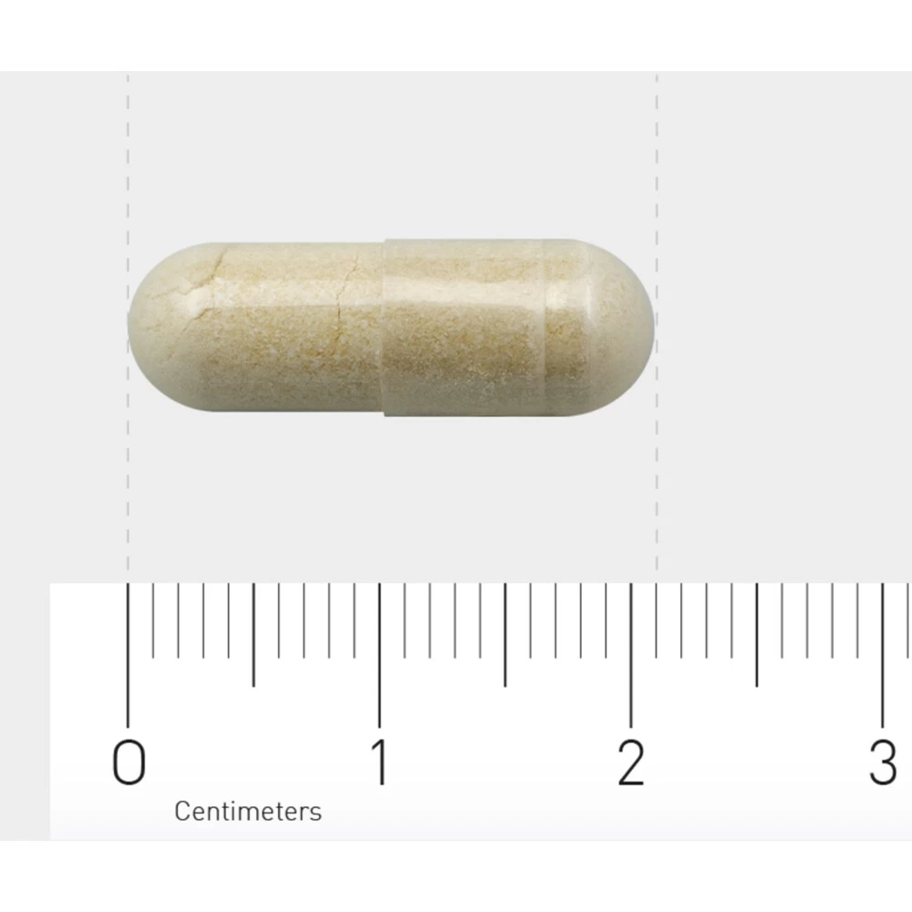 AOV 833 Vitex Agnus Castus - Afbeelding 4
