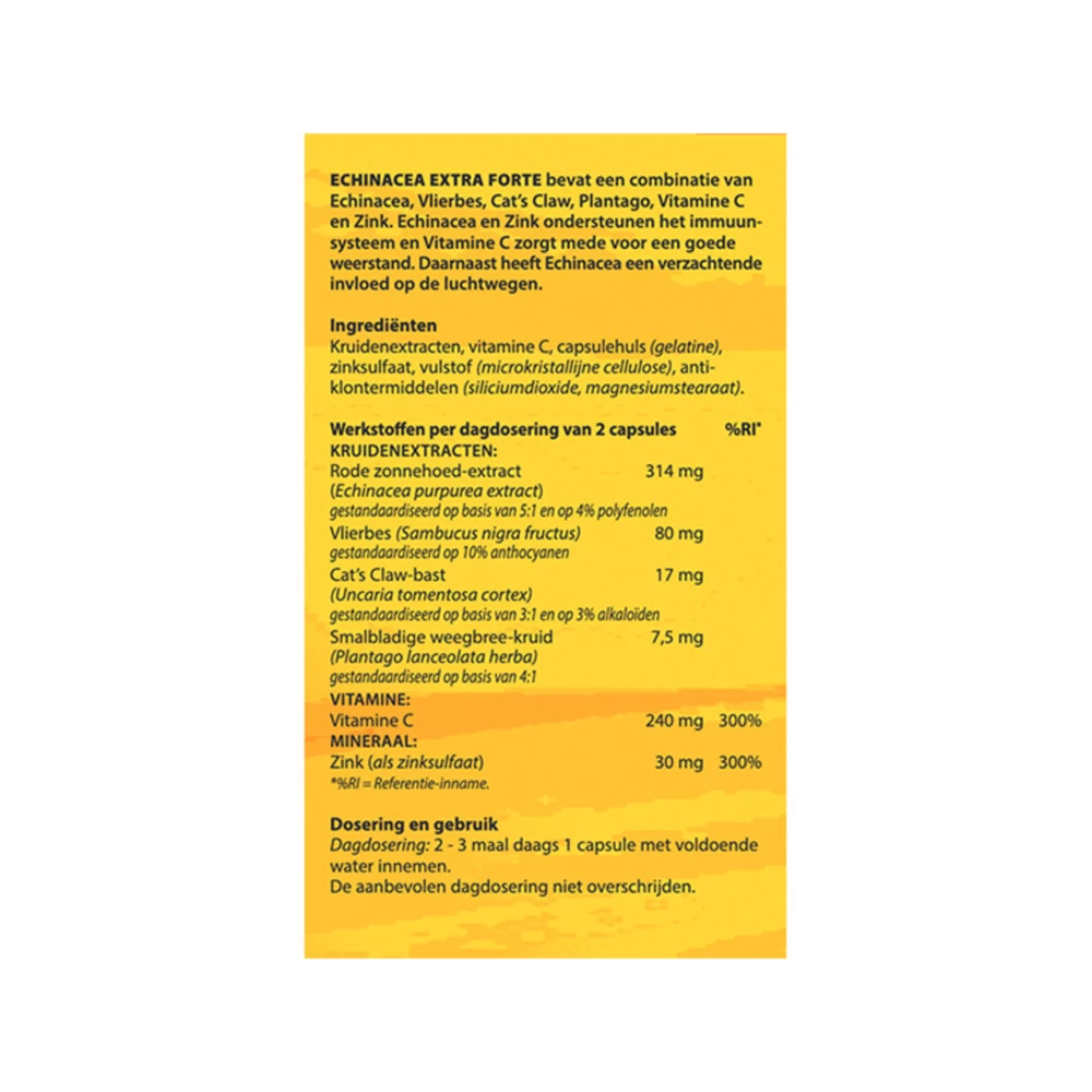 2x Bloem Echinacea - Afbeelding 2