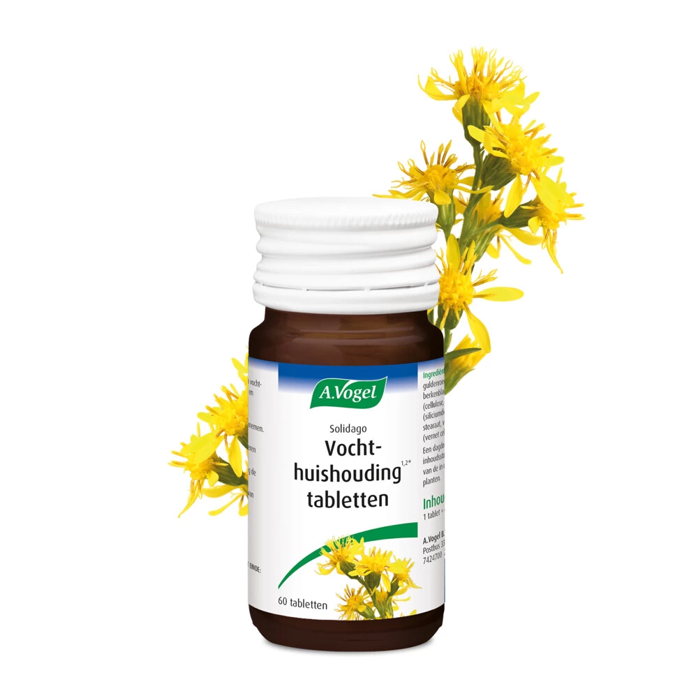 A.Vogel Solidago Vochthuishouding - Afbeelding 2